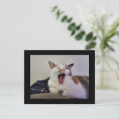 Gapen Calico Cat Briefkaart (Staand voorkant)