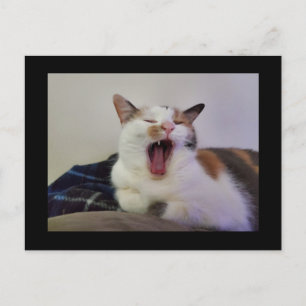 Gapen Calico Cat Briefkaart
