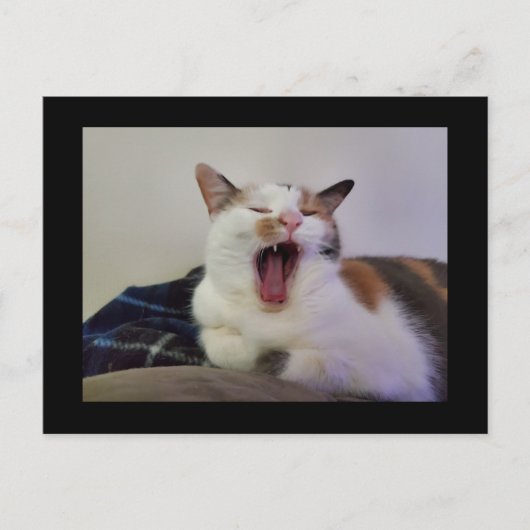 Gapen Calico Cat Briefkaart (Voorkant)