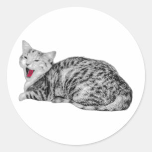 Gapende Tabby Cat Monochrome Sticker met Rode Tong