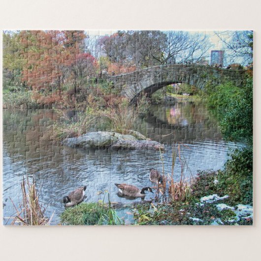 Gapstow Bridge, Central Park NEW YORK CITY Legpuzzel