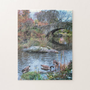 Gapstow Bridge, Central Park New York City Legpuzzel