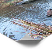 Gapstow Bridge Central Park New York City Poster (Hoek)