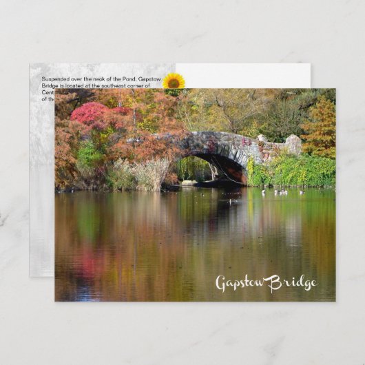 Gapstow Bridge, Central Park, NYC - H briefkaart (Voorkant / Achterkant)
