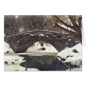 GAPSTOW BRIDGE IN WINTERNOTECARD (Voorkant Horizontaal)