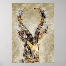 Gaqzelle printwand poster