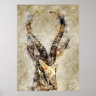 Gaqzelle printwand poster