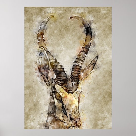 Gaqzelle printwand poster (Voorkant)