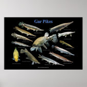 Gar Pikes Poster (Voorkant)