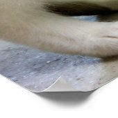 Garandeer je (Cat) Fine Art Print (Hoek)