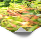 Garden Achtergrond Poster (Hoek)