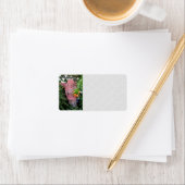 Garden Angel Etiket (Insitu)