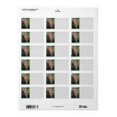 Garden Angel Etiket (Full Sheet)