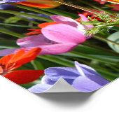 Garden Beauty Poster (Hoek)