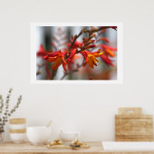 Garden Beauty Poster (Keuken)