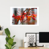 Garden Beauty Poster (Thuiskantoor)