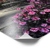 Garden Bench Foto Afdruk (Hoek)