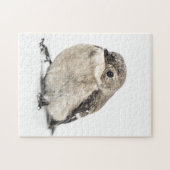 Garden Bird Legpuzzel (Horizontaal)