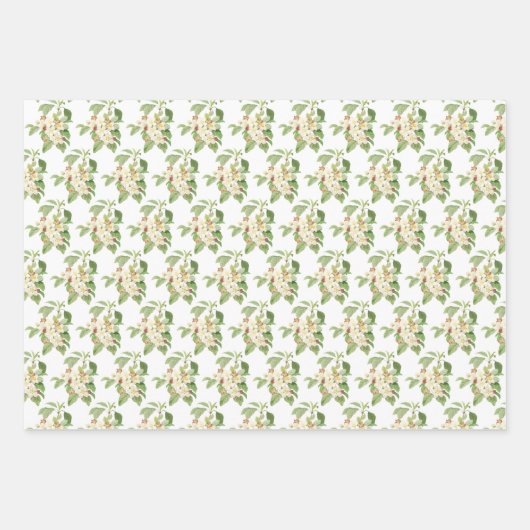 Garden Bouquets en Vogels Inpakpapier Vel (Voorkant 2)