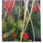 Garden Breeze Douchegordijn (Voorkant)