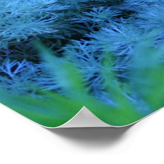 Garden Buddha Poster (Hoek)