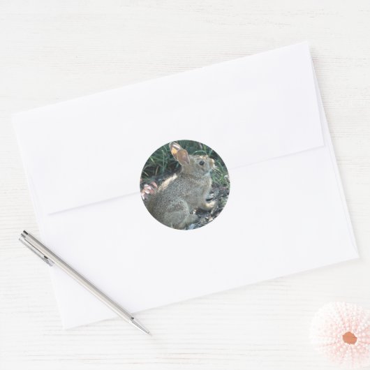 Garden Bunny Ronde Sticker (Envelop)