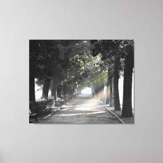 Garden Canvas Afdruk (Voorkant)