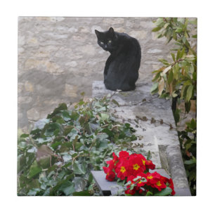 Garden Cat Tegeltje