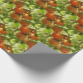 Garden Cherry Tomates Natuur Pattern Cadeaupapier (Hoek)