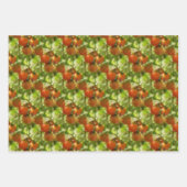 Garden Cherry Tomates Natuur Pattern Inpakpapier Vel (Voorkant 3)