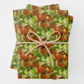 Garden Cherry Tomates Natuur Pattern   Inpakpapier Vel (In situ)