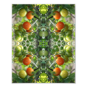 Garden Cherry Tomatoes Abstracte Natuur 8x10 Foto Afdruk