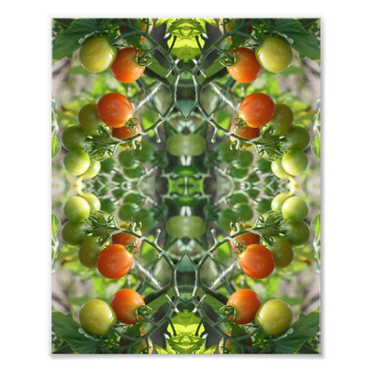 Garden Cherry Tomatoes Abstracte Natuur 8x10 Foto Afdruk (Voorkant)