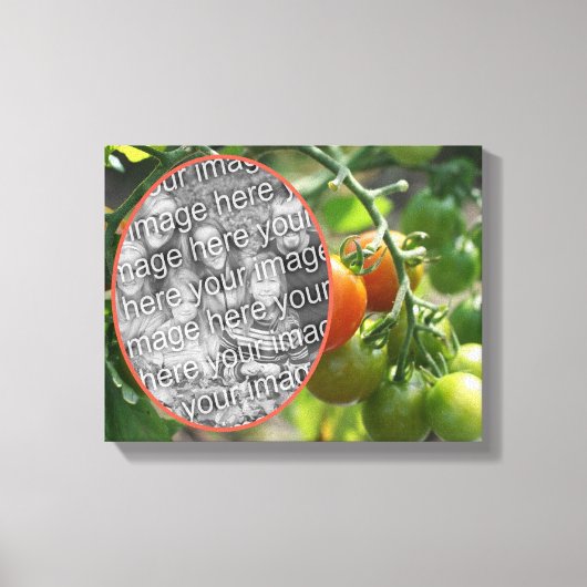 Garden Cherry Tomatoes Creëer Uw eigen foto Canvas Afdruk (Voorkant)