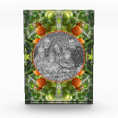 Garden Cherry Tomatoes Lijst Uw eigen toevoegen Fotoblokken (Voorkant)