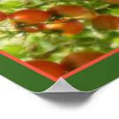 Garden Cherry Tomatoes Natuur Mirror Abstract Poster (Hoek)