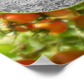 Garden Cherry Tomatoes Natuur Uw foto toevoegen Poster (Hoek)