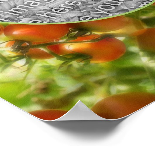 Garden Cherry Tomatoes Natuur Uw foto toevoegen Poster (Hoek)