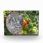 Garden Cherry Tomatoes Voeg je eigen toe Fotoblokken (Voorkant)