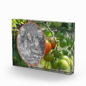 Garden Cherry Tomatoes Voeg je eigen toe Fotoblokken (Rechts)