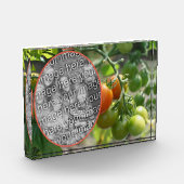 Garden Cherry Tomatoes Voeg je eigen toe Fotoblokken (Links)