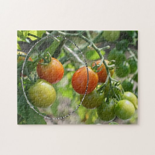 Garden Cherry Tomatoes Voeg je foto toe Legpuzzel (Horizontaal)