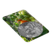 Garden Cherry Tomatoes Voeg je foto toe Magneet (Rechterzijde)