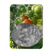 Garden Cherry Tomatoes Voeg je foto toe Magneet (Verticaal)