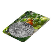 Garden Cherry Tomatoes Voeg je foto toe Magneet (Linkerzijde)