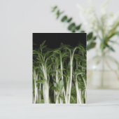 Garden Cress Lepidium sativum Briefkaart (Staand voorkant)