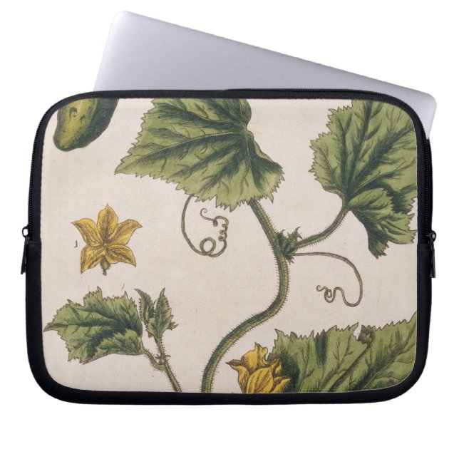 Garden Cucumber, bord 4 uit "A Curious Herbal", Laptop Sleeve (Voorkant)