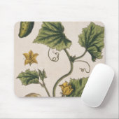 Garden Cucumber, bord 4 uit "A Curious Herbal", Muismat (Met muis)