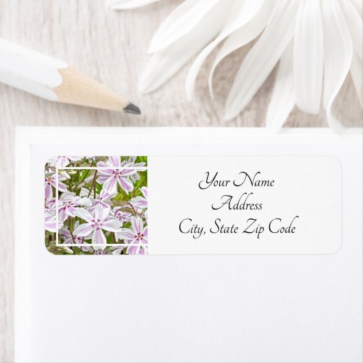 Garden Delight Etiket (Insitu)