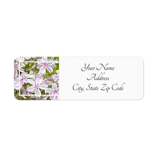 Garden Delight Etiket (Voorkant)